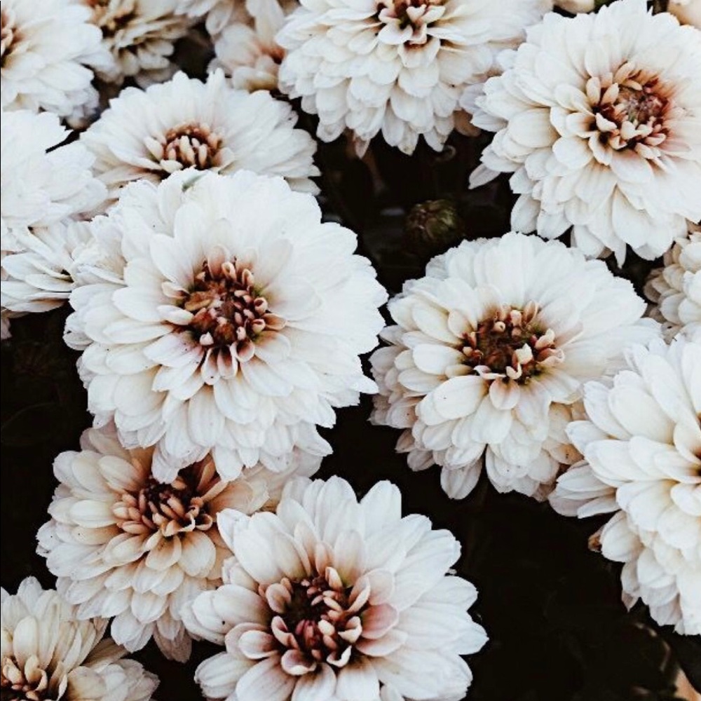 Meet your Posher, Chelsy